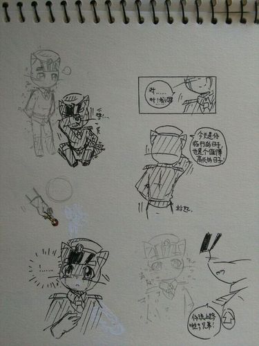 黑猫警长和白猫班长t_t