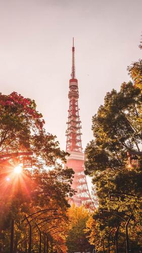 日本著名建筑——东京塔,风景-手机壁纸