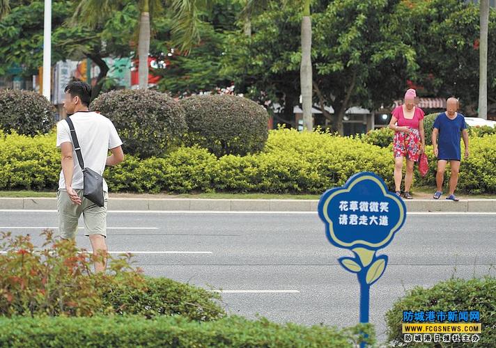 虽然绿化带上设立了保护花草的提示牌,但还是被踩出一道道难看的"伤疤