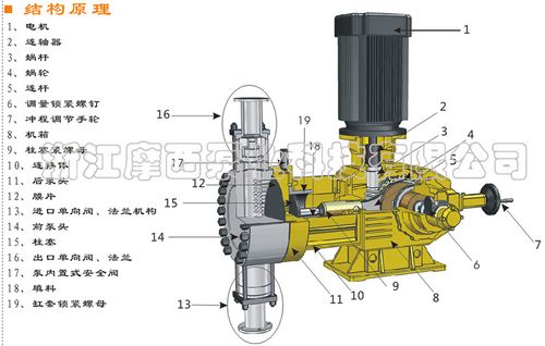 rh液压隔膜计量泵不锈钢-浙江摩西专业厂家