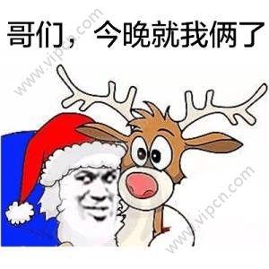 圣诞帽表情包