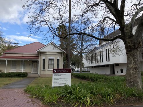 斯泰伦博斯大学