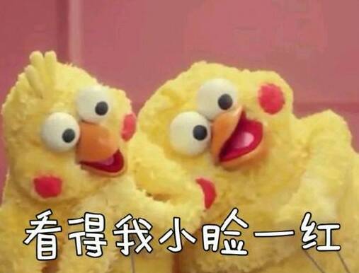 表情包 小鸡的表情包