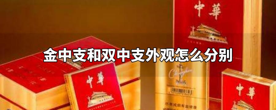 金中支和双中支外观怎么分别