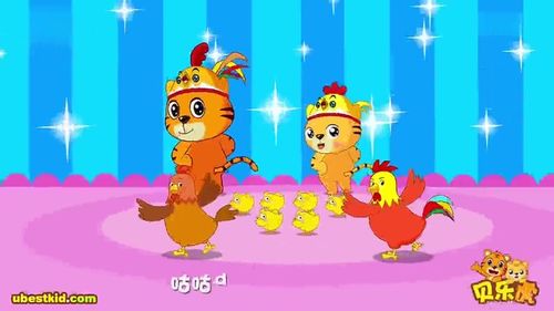贝乐虎儿歌,小鸡小鸡9.