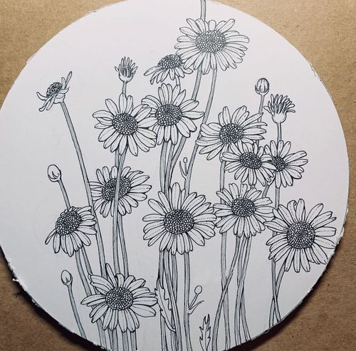 《植物写生》四年级下册——新城区实验学校美术课