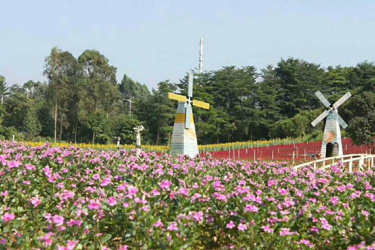 深圳九龙山生态园,位于山水如画,景色醉人的龙华新区观澜