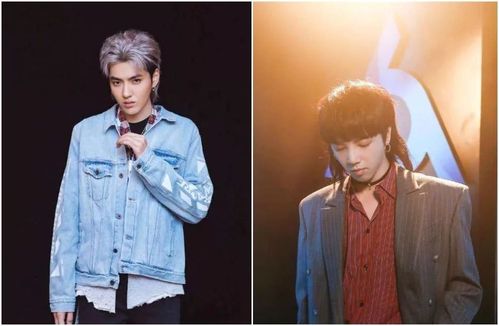 时髦的发型一年一变,而最近正当红的一定要数这个长着尾巴似燕尾,两侧