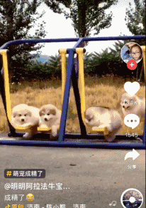 趵突泉把子肉抖音这样捧红大济南创作人说