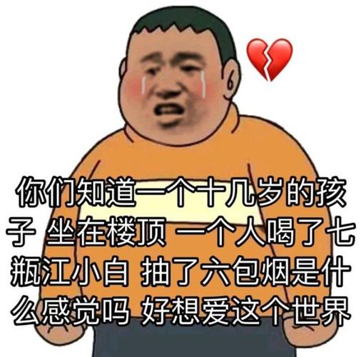 沙雕表情包既然是沙雕表情包当然少不了我胖虎了啊