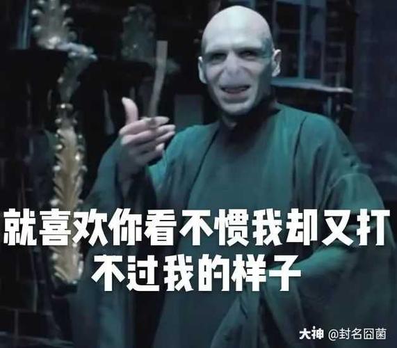 伏地魔篇#哈利波特表情包.