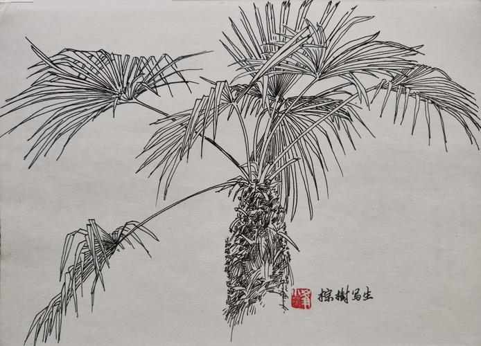 1999年10月小峰写生《棕榈树》