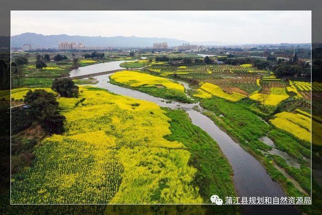 春色田野——寿安镇雷河风景