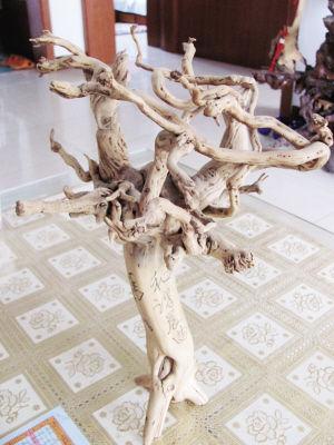 捡来树根变根雕 巧手化腐朽为神奇