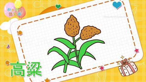 高粱特写简笔画
