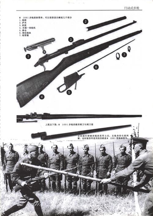 白嫖党速进 二战苏军单兵武器 莫辛纳甘篇(up自费搞的