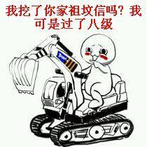我可是过了八级_八级_挖掘机_祖坟表情
