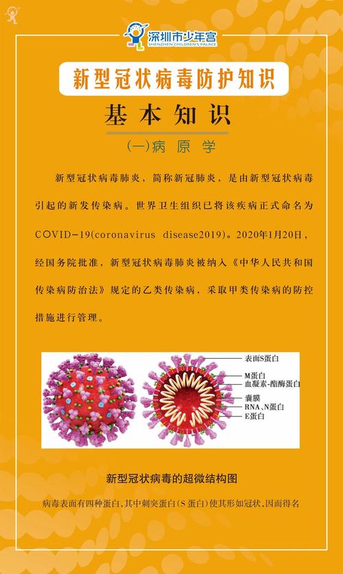 新冠病毒防护知识