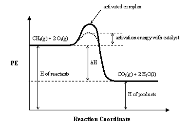 potential energy diagram