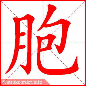 胞字的笔顺动画:康的部首:广 康的笔画数:11康字的笔顺动画:健的部首