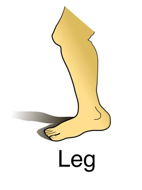 it"s   leg. i have   legs. my right leg and my left leg.