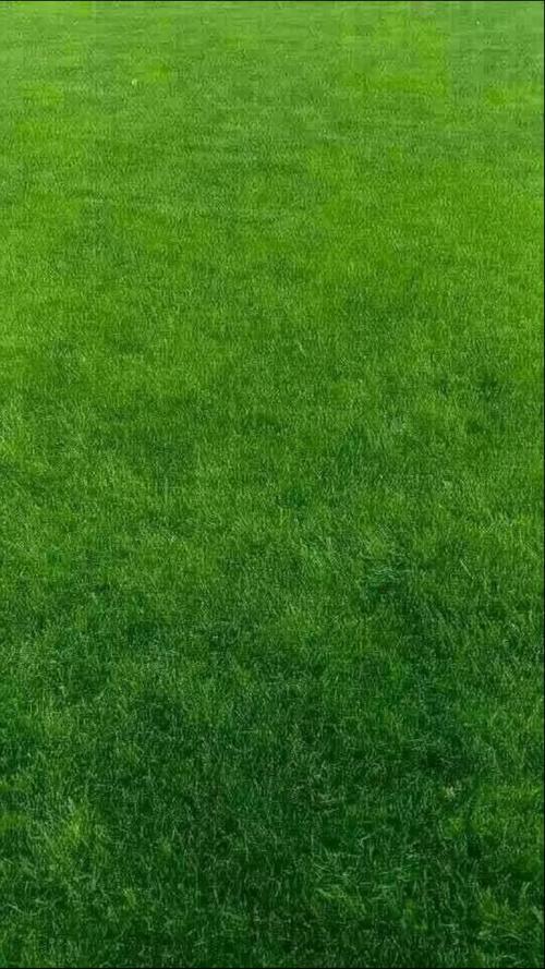 高清微信护眼图,选1张当聊天背景图吧!(附24首养生音乐)