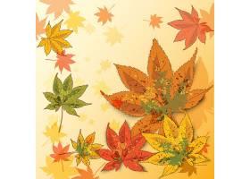 创意秋天季节叶子装饰标签矢量设计图片