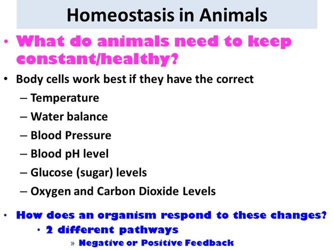 work best if they have the correcttemperaturewater balanceblood