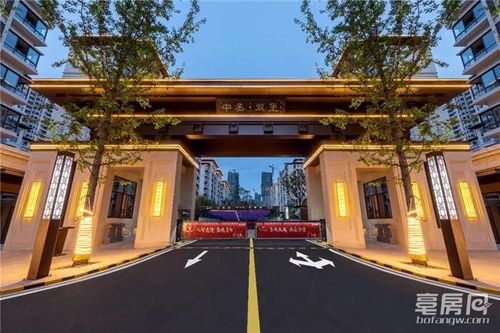 中丞·双玺东区最后一栋将交付 共赴美好新程! - 亳州