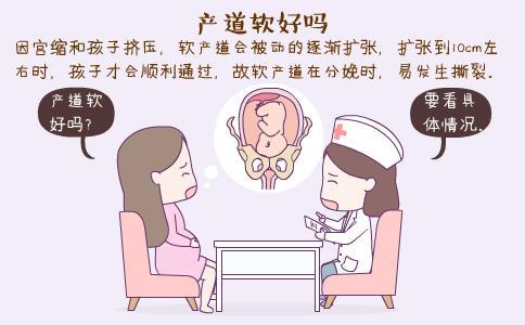 软产道是由子宫的下段,阴道,宫颈和骨盆底软组织所构成的弯曲管道.