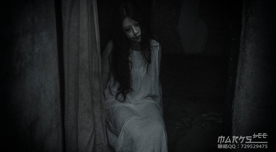 标题:咒怨恐怖摄影