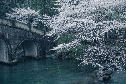 《东栏梨花》苏轼