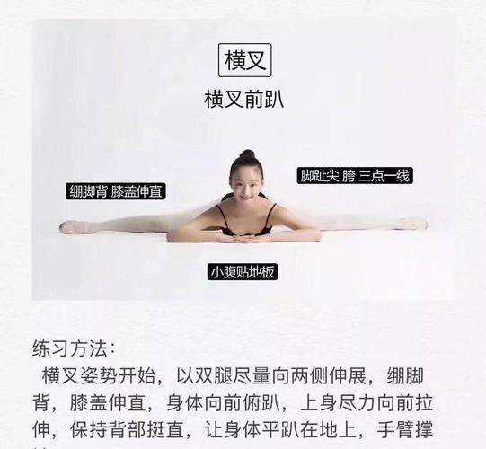 达茂旗蓓蕾舞蹈基本功—图文详解