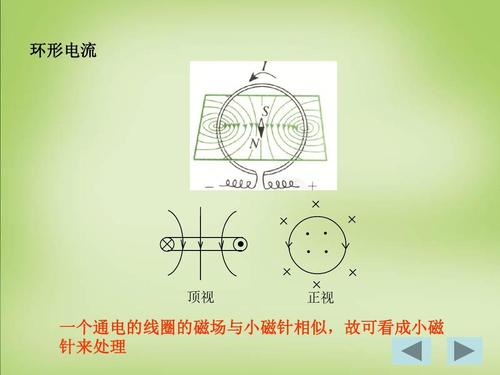 环形电流 顶视 正视 一个通电的线圈的磁场与小磁针相似,故可看成小磁