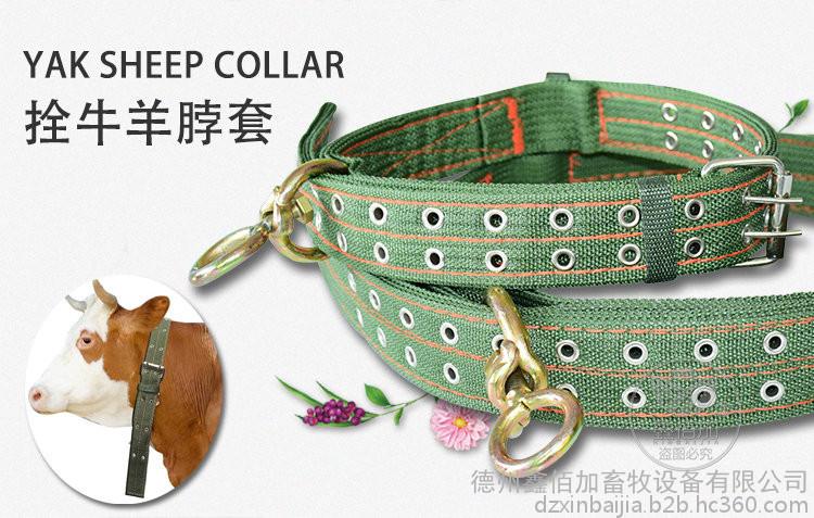 批发加厚拴牛脖套牛头套多规格拴牛绳牛羊缰绳脖套扣