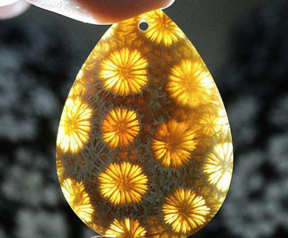 珊瑚玉鉴别方法 染色珊瑚玉怎么鉴别