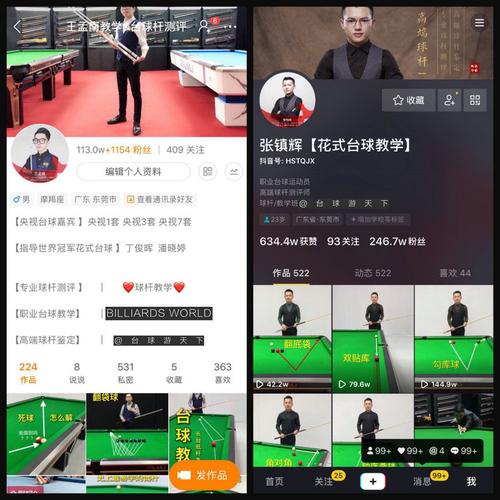 王孟南张镇辉台球游天下皮尔力大头杆中式黑八球台球杆花式九球 静远