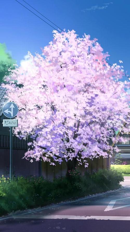 日本风景动漫图片樱花樱花风景动漫头像