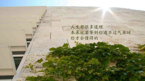 来几张看起来就阳光,充满活力, 正能量 的 图片