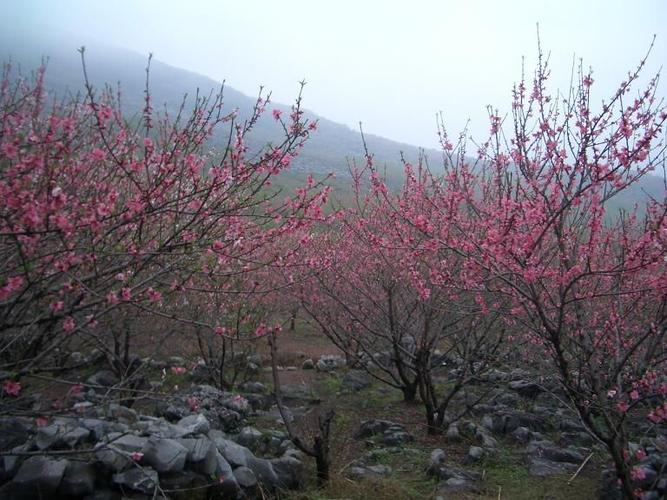 桃花谷自然风景区