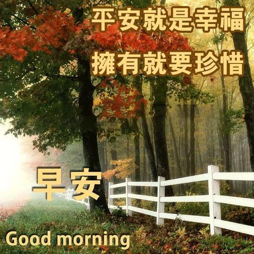 特别漂亮的清晨早安祝福图片,新的一天早上好阳光暖心