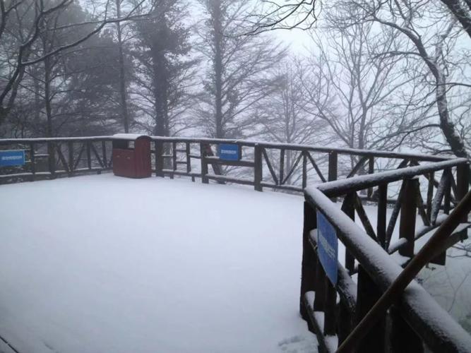 真的下雪了2018年达蓬山的第一场雪