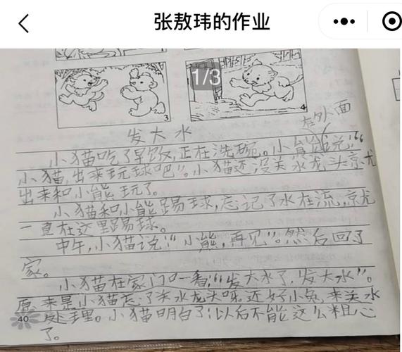 看图写话——粗心的小猫