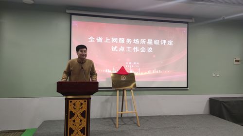 王天虹做星评工作发言