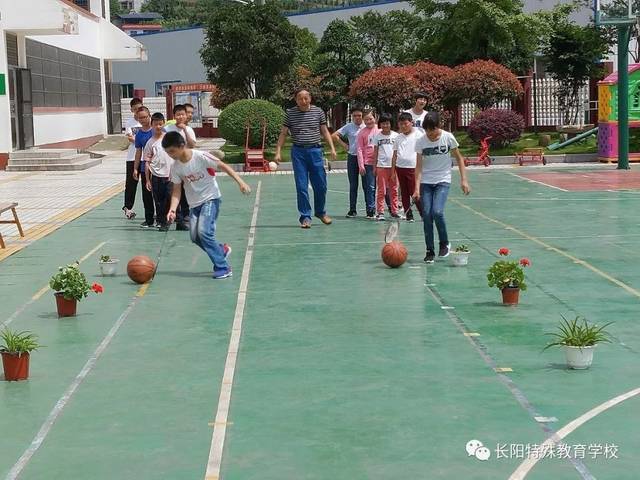 【长阳特殊教育学校】七彩课程 育残成长