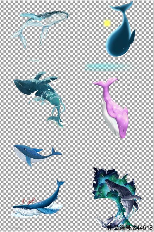 海洋生物鲸鱼素材