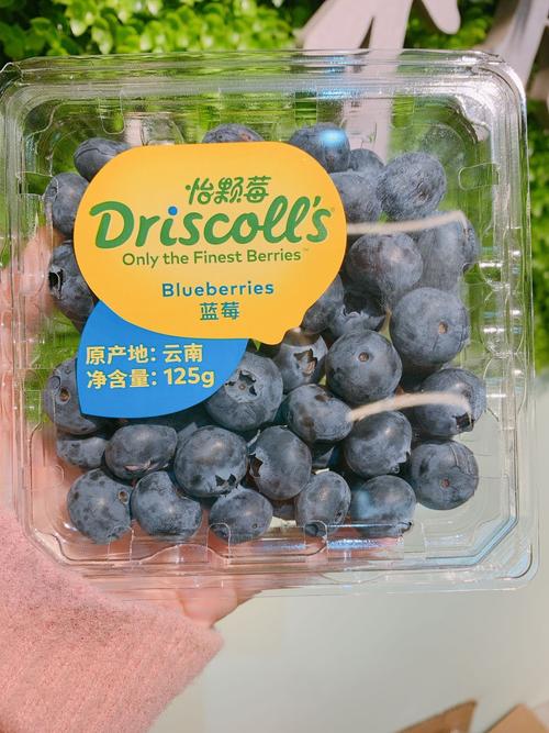 北美怡颗莓蓝莓中大果非蓝莓王云南产超级脆甜多汁味道浓郁l25