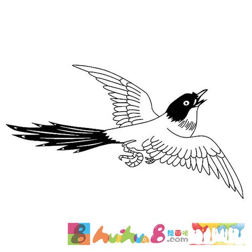 动物简笔画栏目里的 喜鹊动物简笔画图片大全,儿童
