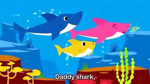                     baby shark