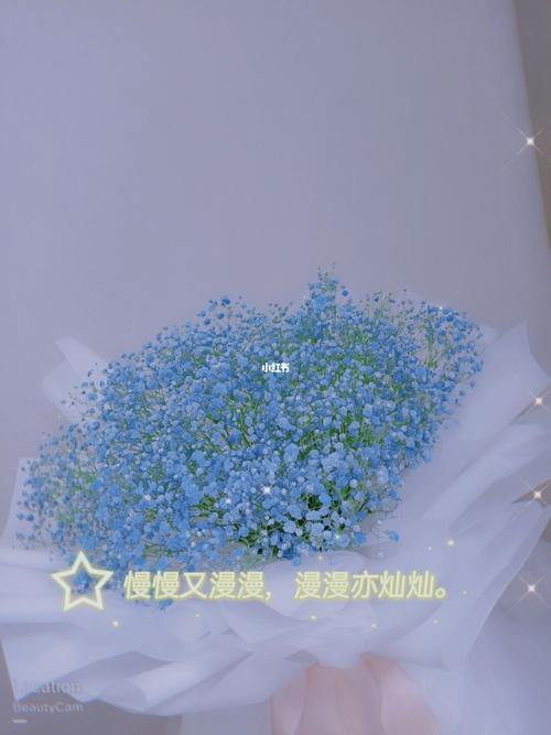 蓝色满天星花束~98白色纱纱款_花束_满天星_家居家装_家居装饰